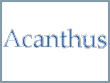 Acanthus Architects